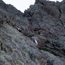 François D'Haene - GR20 (Corsica, France)