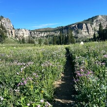 Jazmine Lowther - Teton Crest Trail (WY)