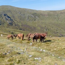 Ishmael Burdeau - Snowdonia Way – Mountain Route