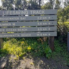 Thomas Dade - Mornington Peninsula Walk (Victoria, Australia)