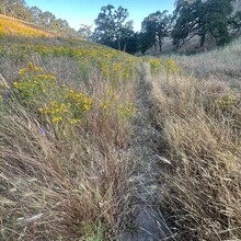 Roland Banas - Folsom Lake Perimeter (trail) (CA)