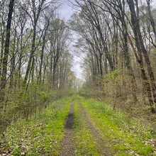 Alyssa Roberts - Zoar Valley Trail (OH)