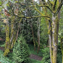 Joanna Neuberg - Lake Washington Loop (WA)