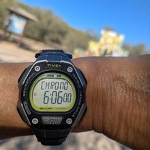 Marcy Beard - Catalina State Park All Trails (AZ)