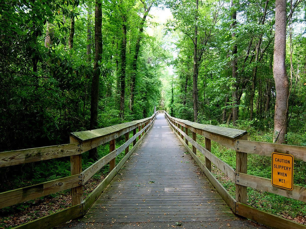 Cape Fear River Trail (North Carolina)  Fastest Known Time