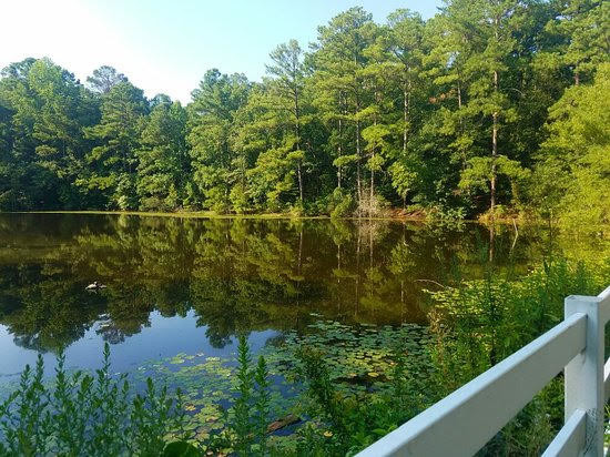 Cape Fear River Trail (North Carolina)  Fastest Known Time