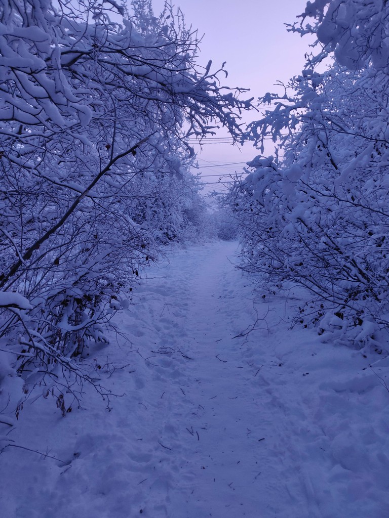Yellowknife Lakes Loop (NT, Canada) | Fastest Known Time