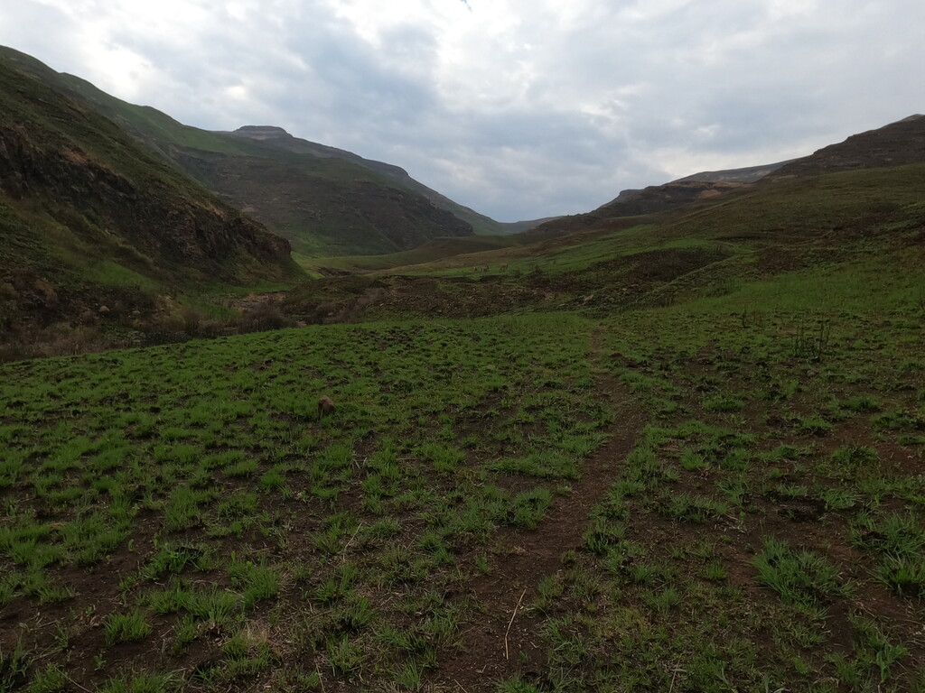 Hanno Langenhoven - Ribbok Trail, Golden Gate Highlands National Park ...