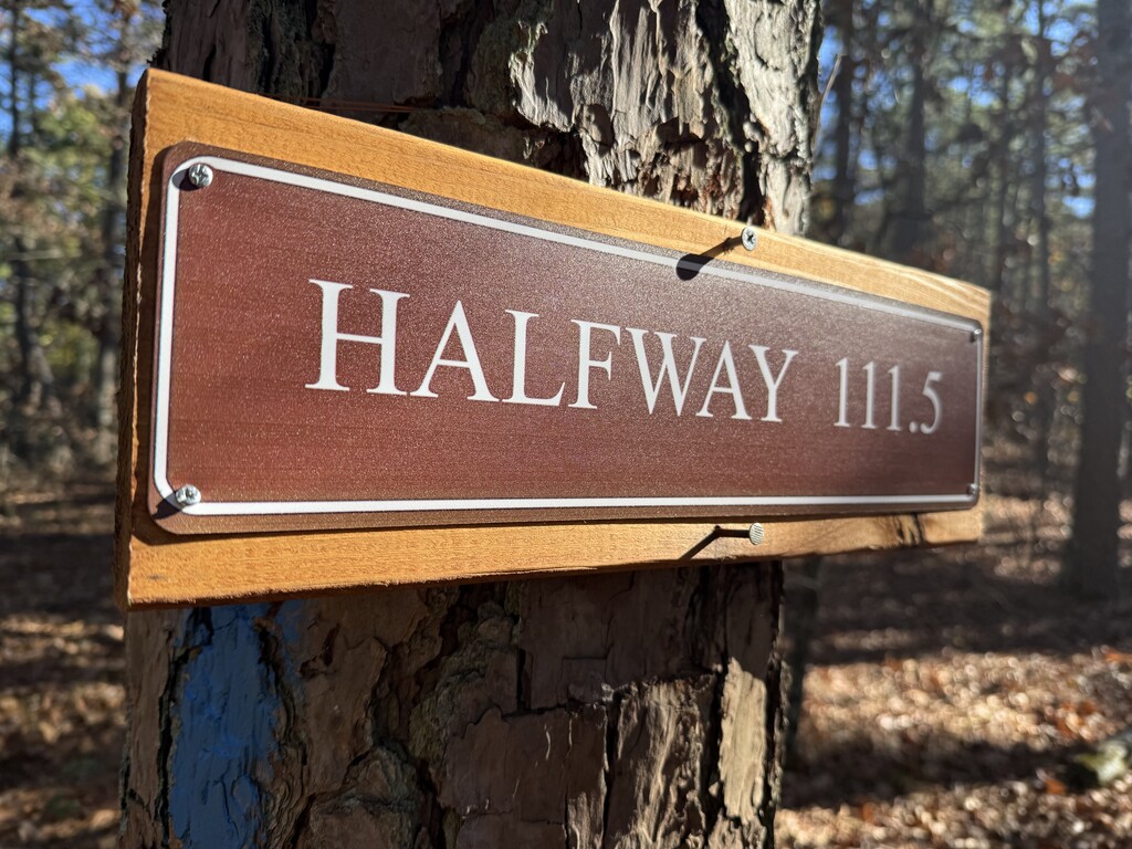 Nick Fowler - Ouachita Trail (OK, AR) - 2025-11-28 | Fastest Known Time