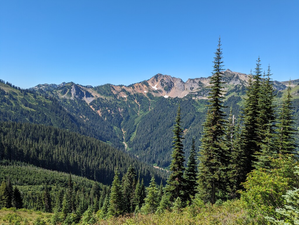 Kate Woodard - White Pass to Pilot Ridge Loop (WA) - 2023-08-01