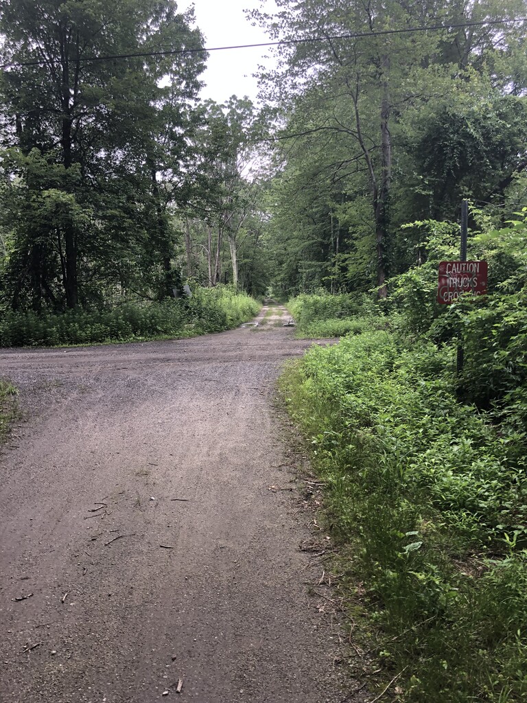 Pequonnock River Trail (CT) Fastest Known Time