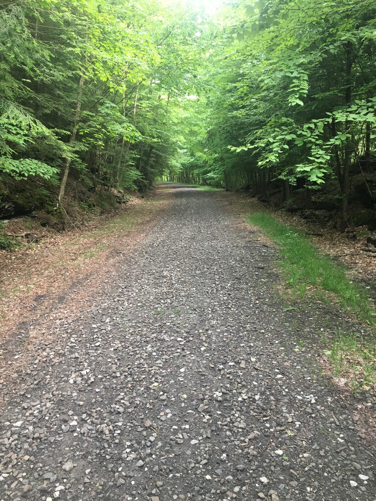 D&H Rail-Trail, Union Dale