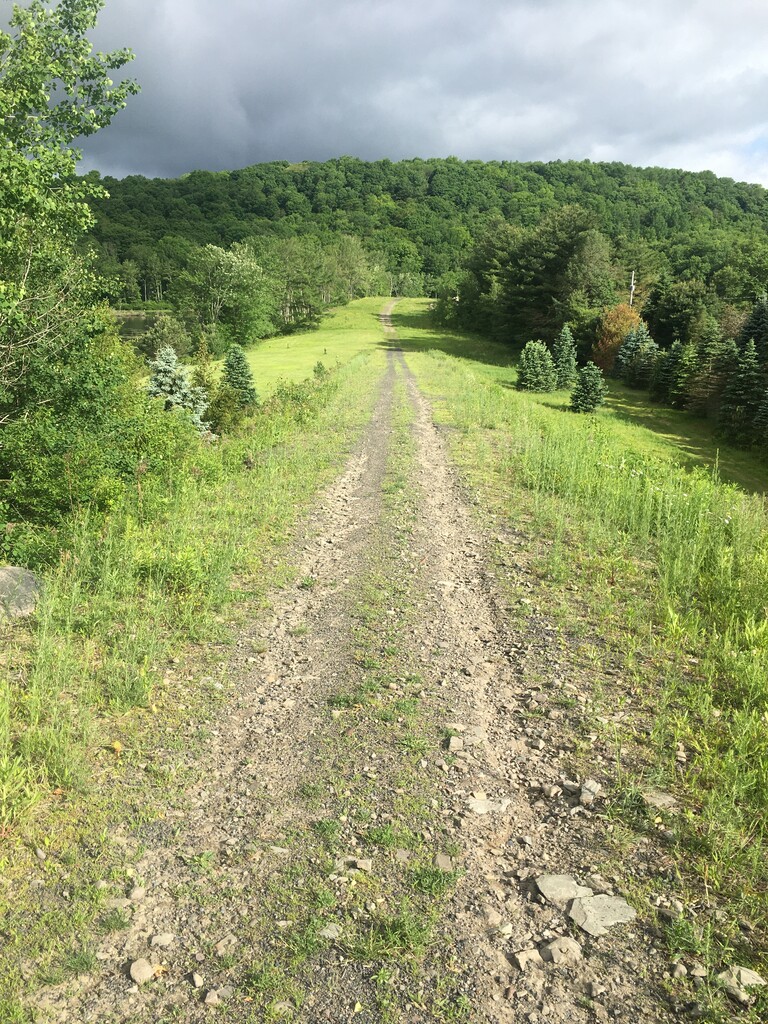 D&H Rail-Trail, Union Dale