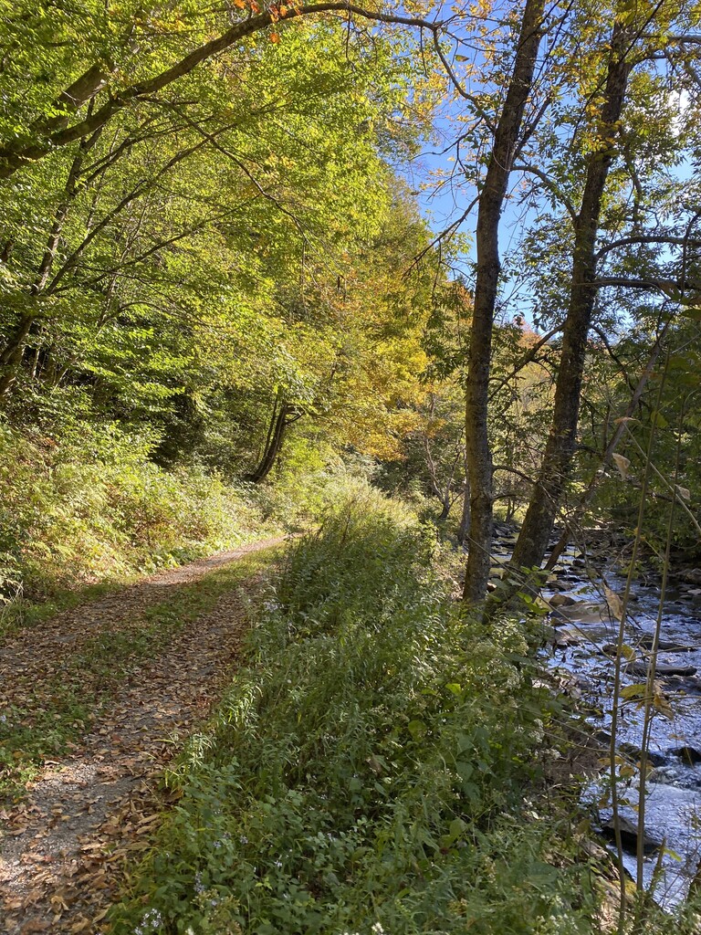 Cranberry Wilderness Loop Fastest Known Time