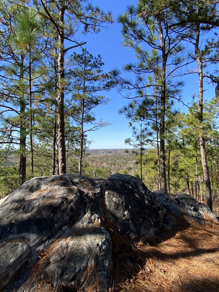 John B Scott Trail (AL) | Fastest Known Time