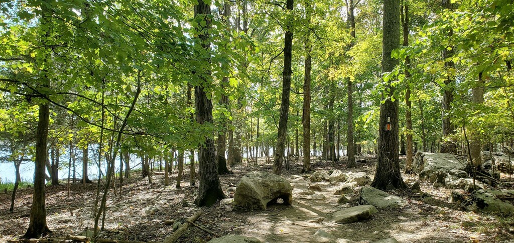 Long hunter state outlet park volunteer trail