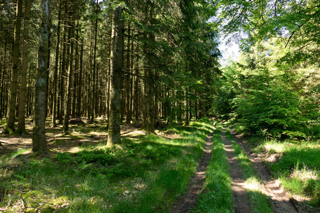La Transardennaise (Belgium) Fastest Known Time