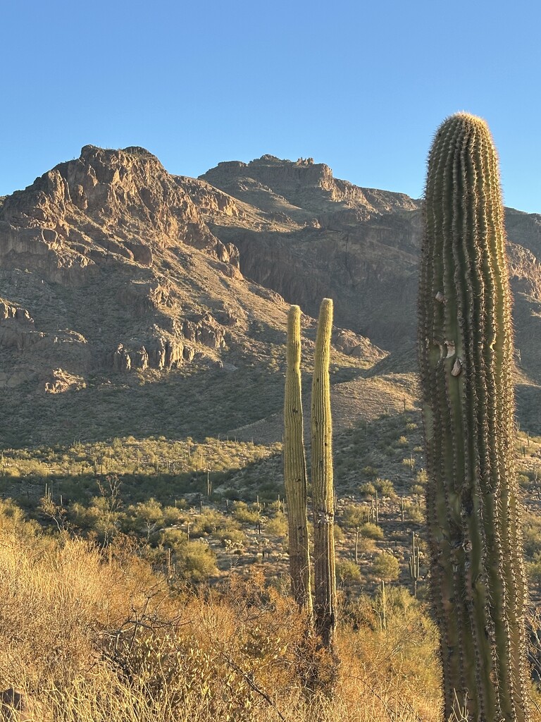 Superstition Peak | Fastest Known Time
