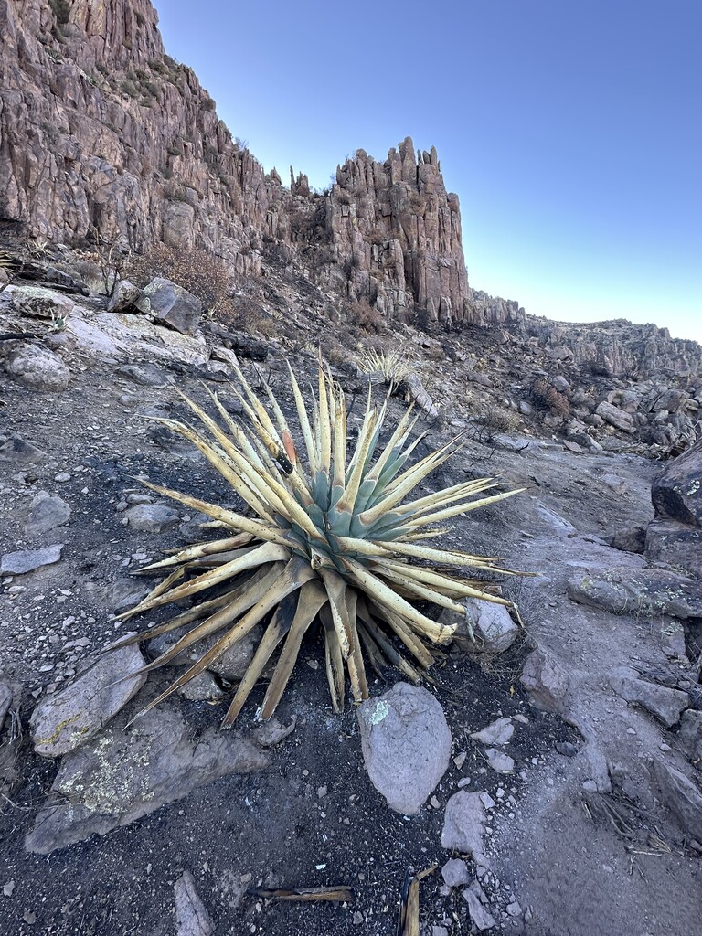 Superstition Peak | Fastest Known Time