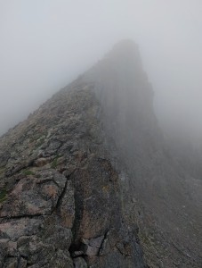 Isolation Peak