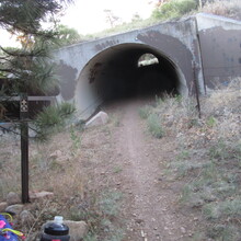 Marcy Beard - Flagstaff Loop Trail (AZ)