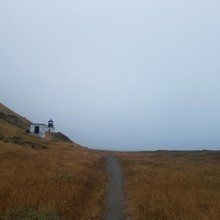 Ashly Winchester / Lost Coast Trail Complete Route FKT