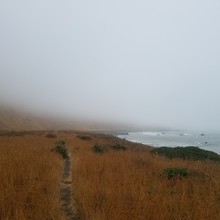 Ashly Winchester / Lost Coast Trail Complete Route FKT