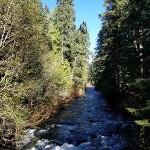 Ashly Winchester / McKenzie River Trail FKT