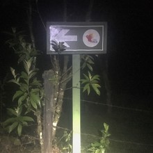 Evan Brashier / El Camino de Costa Rica