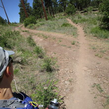 Marcy Beard - Flagstaff Loop Trail (AZ)