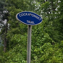 Jimmy McCaffrey / Cockaponset Trail FKT