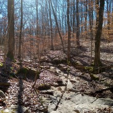 Nathan Broom / Adventure Hiking Trail (IN) FKT
