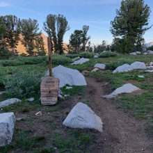 Luke Nelson / Sonora Pass to Carson Pass FKT