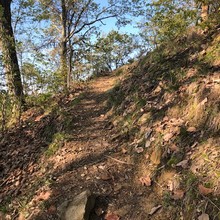 Sara Mahoney / Siltstone & Scott's Gap Trails FKT