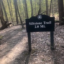 Sara Mahoney / Siltstone & Scott's Gap Trails FKT
