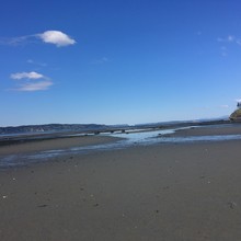 Ryan Stoddard / Beach from Seattle to Everett (WA) FKT