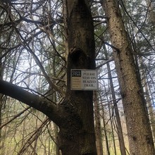 Michele O'Neill / Highlawn Forest Trail FKT