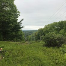 Scott Newcomer / New England National Scenic Trail MA Section FKT