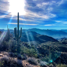Witt 'El Matador' Wisebram / Arizona Trail FKT
